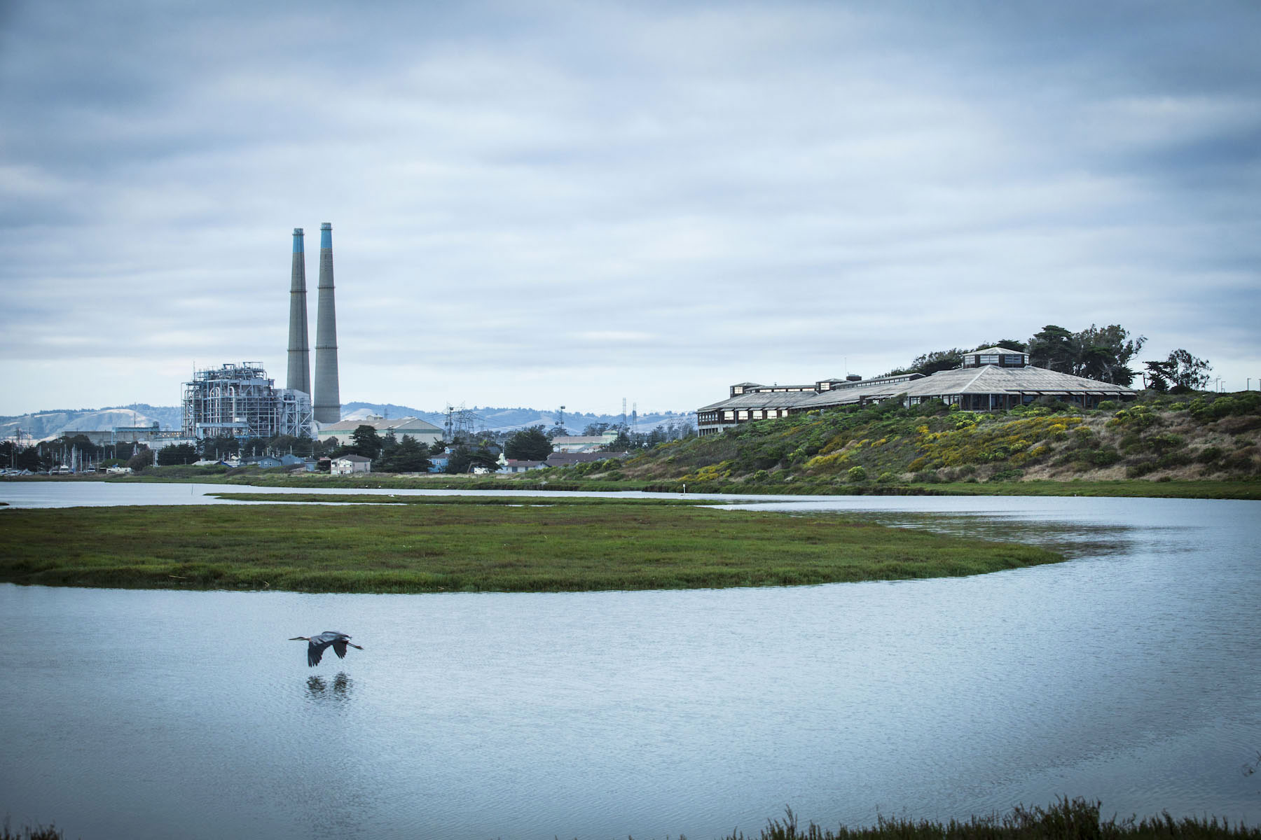 moss landing marine laboratories