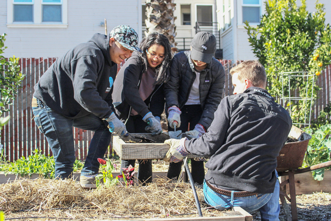 Volunteers gardening 