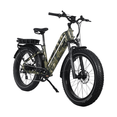 Pioneer Plus E-Bike