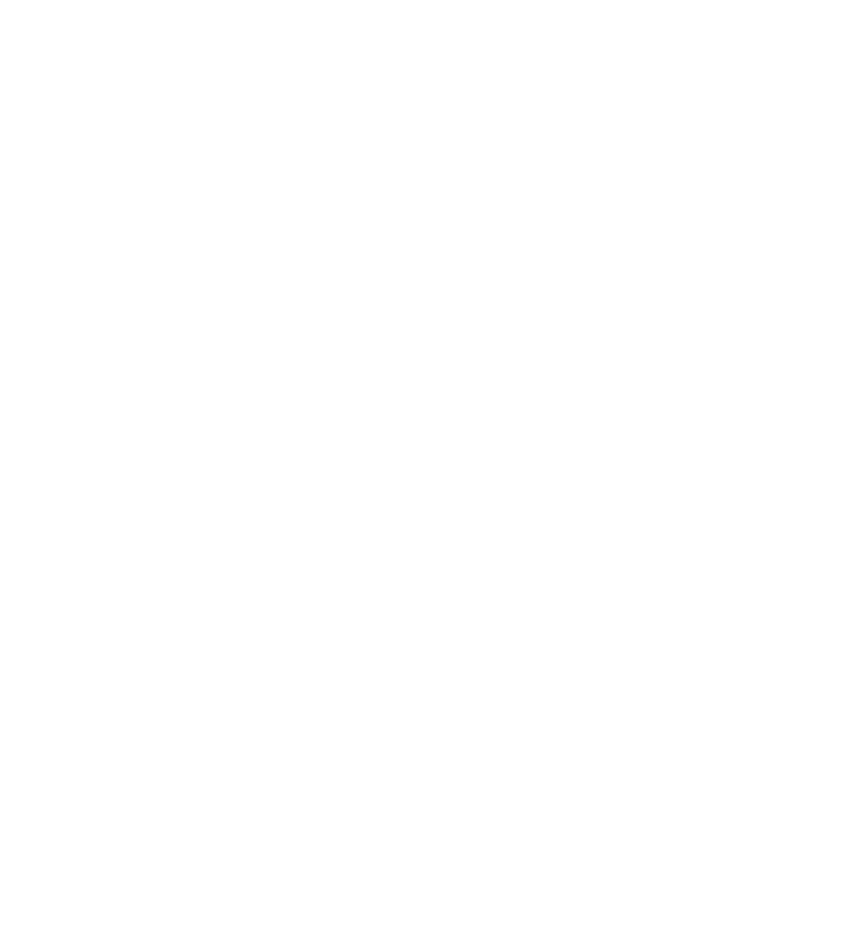 spartan spirit logo