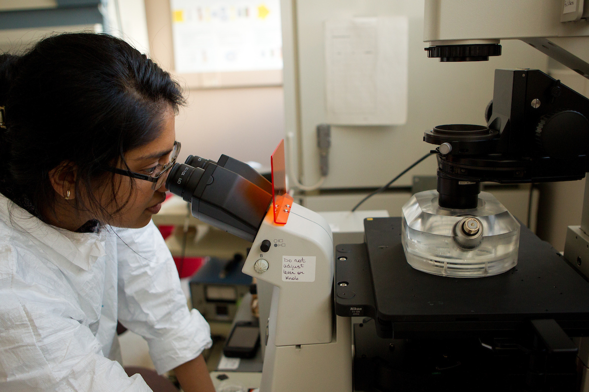 student observing lab species in machine