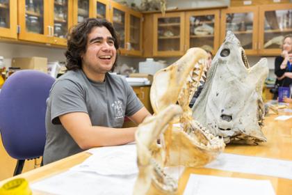 student sits in a lab with animal skulls