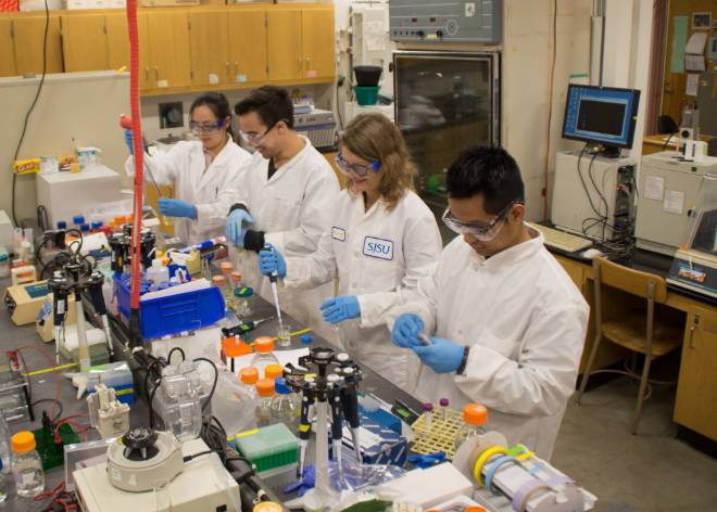 Students conducting lab experiments