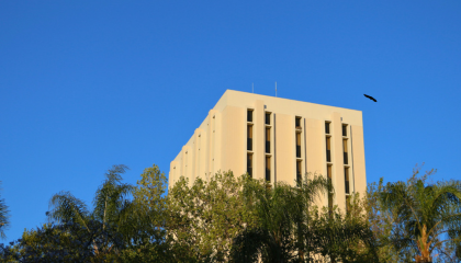 Business Tower with bird flying by