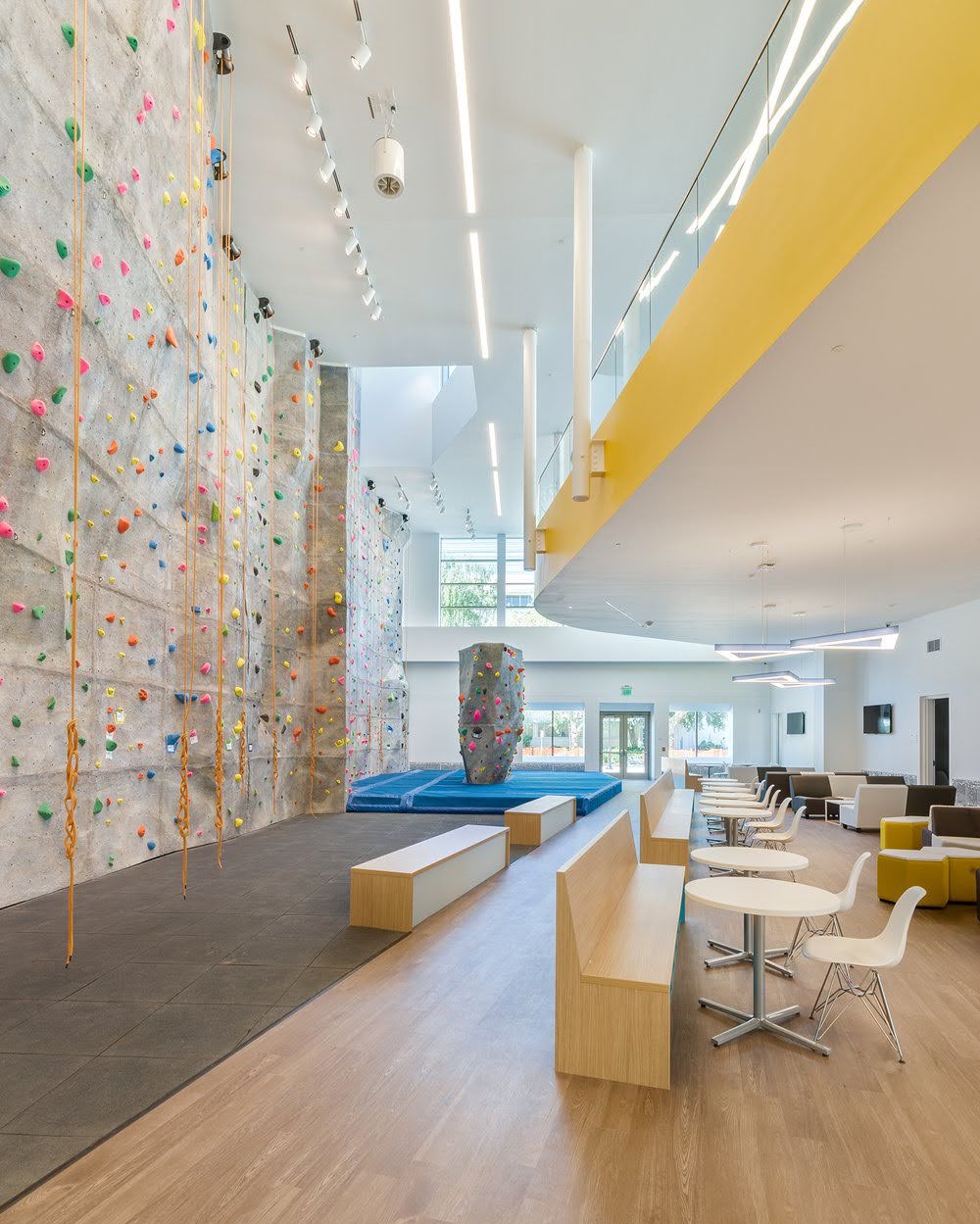 SJSU Student Recreation and Aquatic Center climbing wall and gym floor.