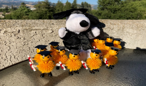 Snoopy Grad