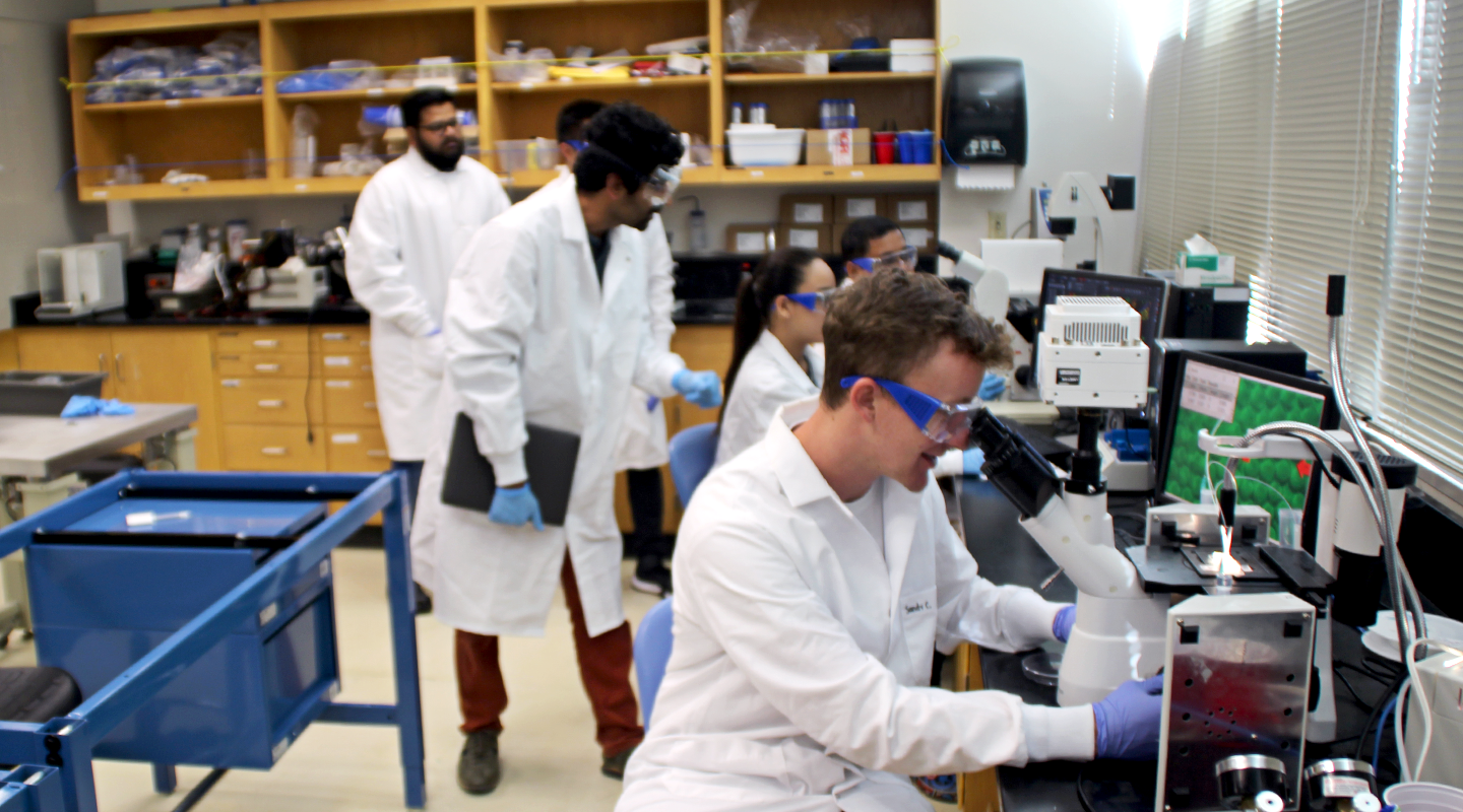 Students doing research in lab