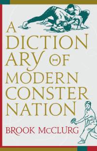 Dictionary of Modern Consternation