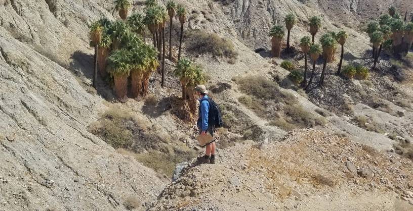 A student looks at a fault