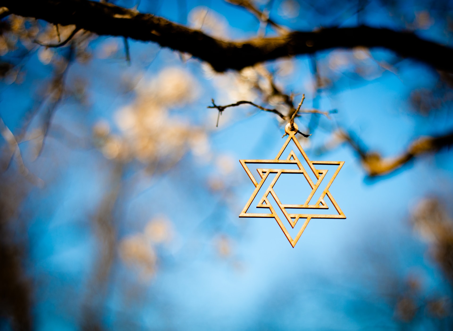 Jewish star hanging from a branch; blurry spring bloom in background