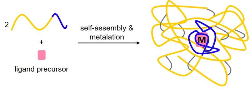 Synthesis of metal “active sites” supported by single-chain polymer nanoparticles