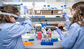 two people work under fume hood with scientific equipment in lab coats and safety gear