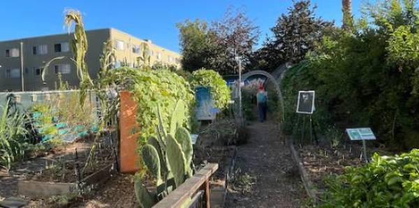 person walks in the distance in an urban garden