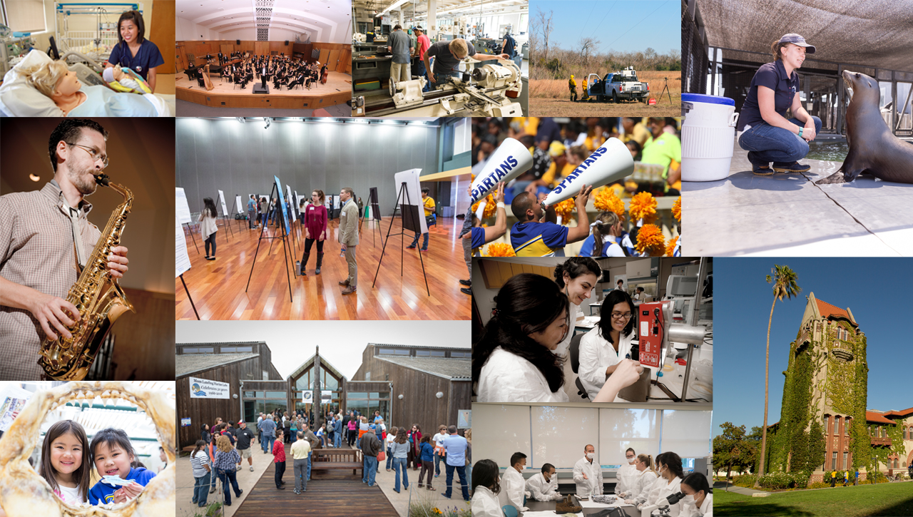 Collage of various pictures depicting research activities. 