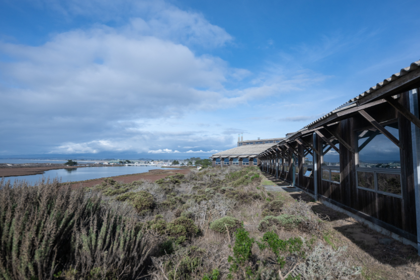 Moss Landing Marine Laboratories
