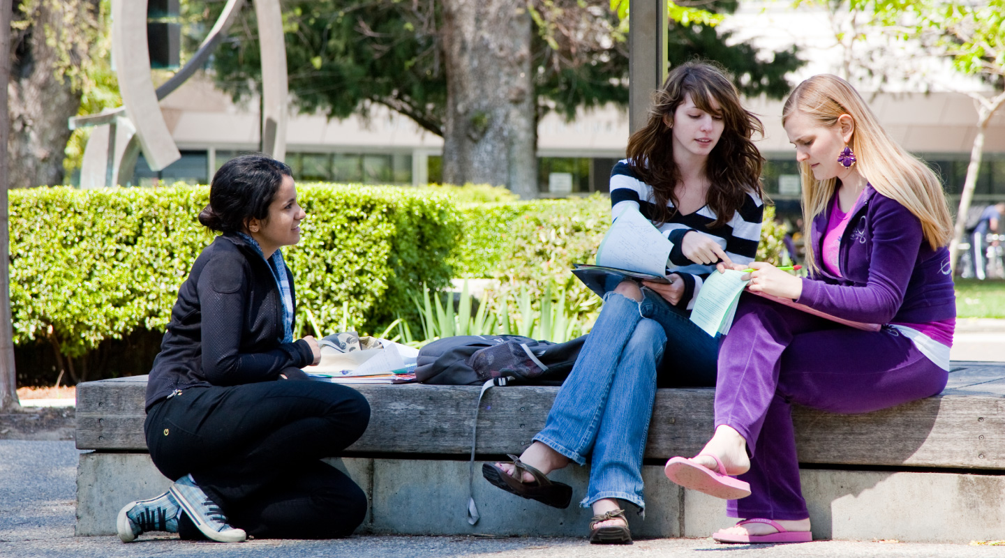 Students studying outdoors.